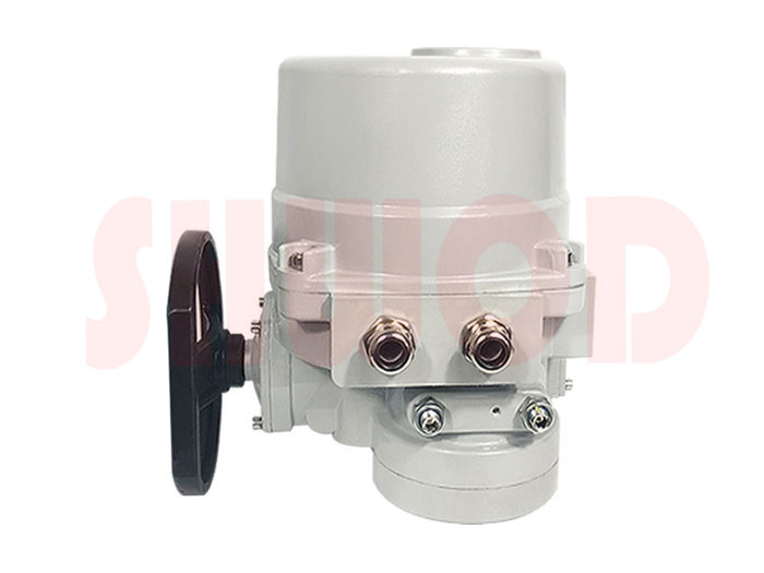 蜜桃福利导航執行器