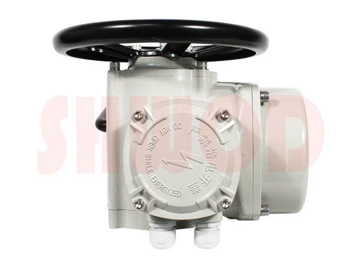 蜜桃福利导航執行器